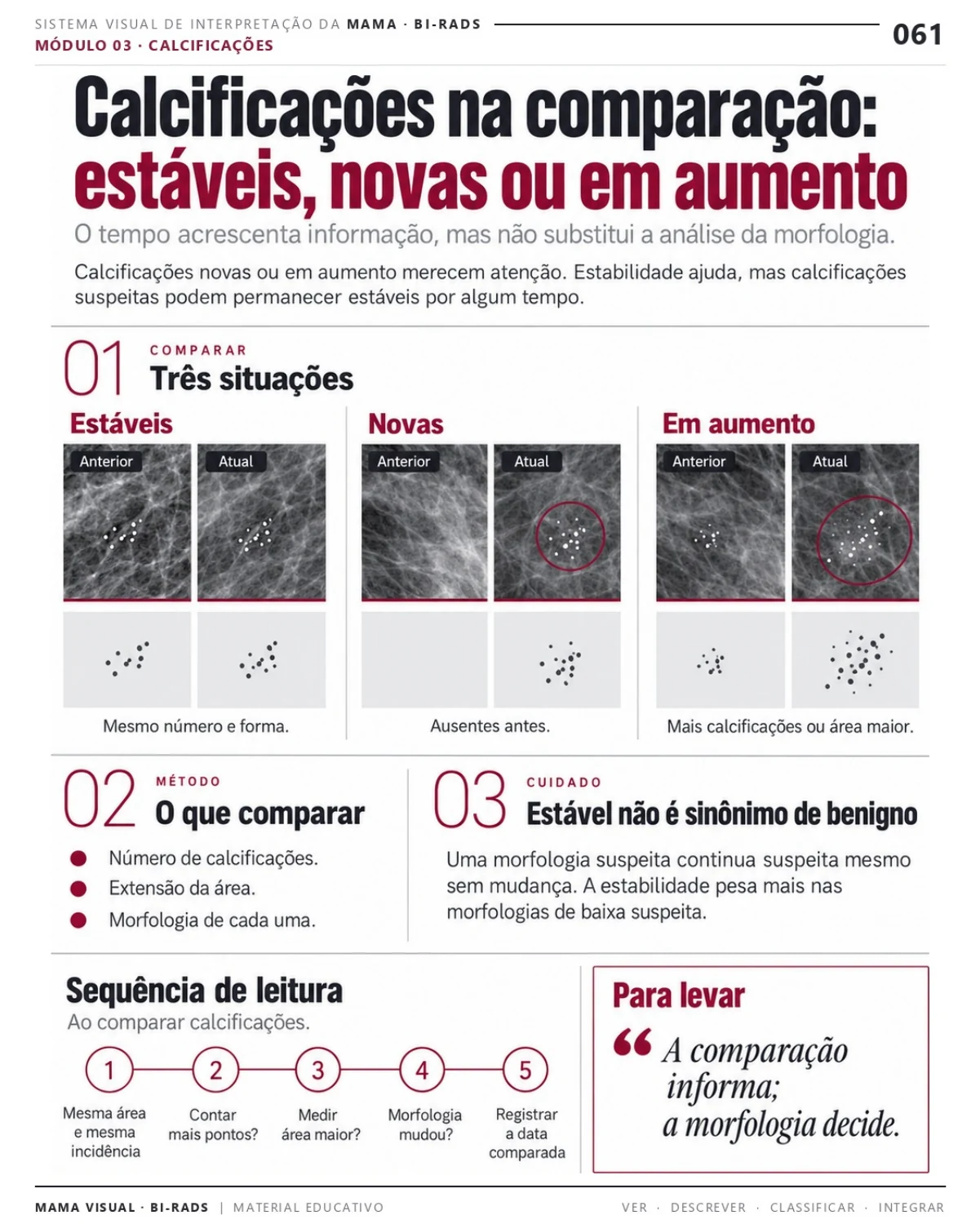 Página 61: Calcificações na comparação. Prévia do PDF Mama Visual BI-RADS; imagens didáticas simuladas.